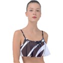 Palm Tree Design-01 (1) Frill Bikini Top View1