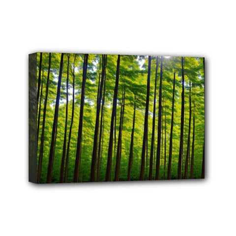 Green Forest Jungle Trees Nature Sunny Mini Canvas 7  X 5  (stretched) by Ravend