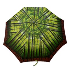 Green Forest Jungle Trees Nature Sunny Folding Umbrellas by Ravend