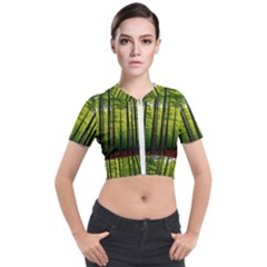 Green Forest Jungle Trees Nature Sunny Short Sleeve Cropped Jacket by Ravend