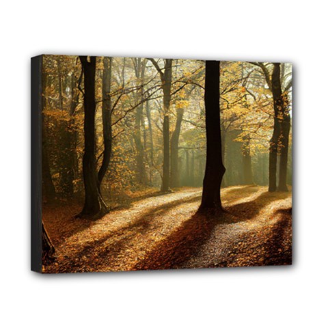Autumn Nature Woodland Woods Trees Canvas 10  X 8  (stretched) by Jancukart
