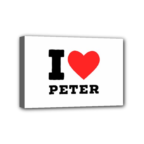 I Love Peter Mini Canvas 6  X 4  (stretched) by ilovewhateva