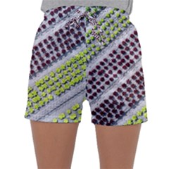 Field Agriculture Farm Stripes Diagonal Pattern Sleepwear Shorts by Jancukart