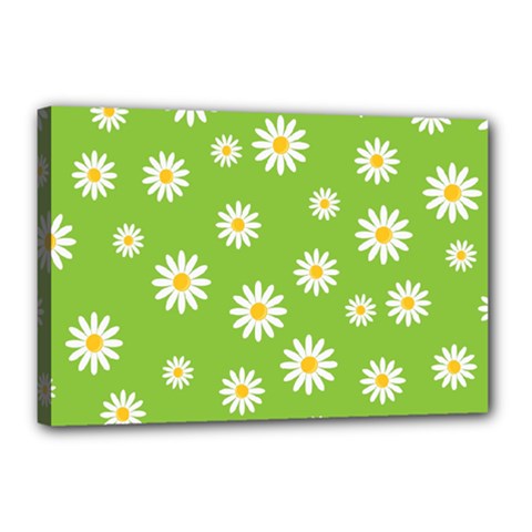 Daisy-flowers-floral-wallpaper Canvas 18  X 12  (stretched) by Semog4