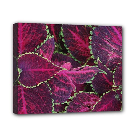 Abstract Beautiful Beauty Bright Canvas 10  X 8  (stretched) by Semog4