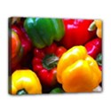 Colorful Capsicum Canvas 14  x 11  (Stretched) View1