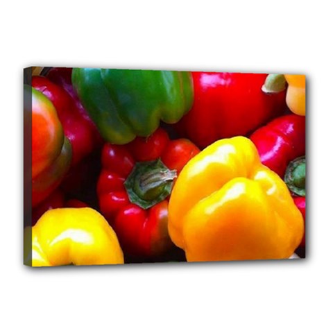 Colorful Capsicum Canvas 18  X 12  (stretched) by Sparkle
