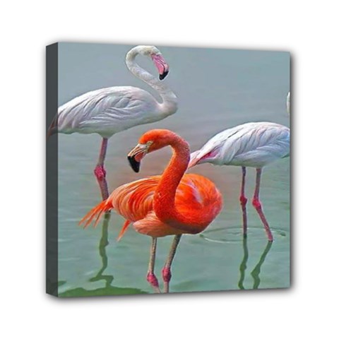 Birds Mini Canvas 6  X 6  (stretched) by Sparkle