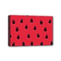 Seamless-watermelon-surface-texture Mini Canvas 6  x 4  (Stretched) View1