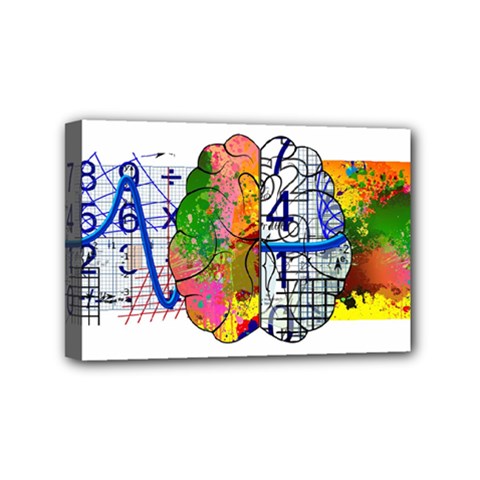 Brain Cerebrum Biology Abstract Mini Canvas 6  X 4  (stretched) by pakminggu