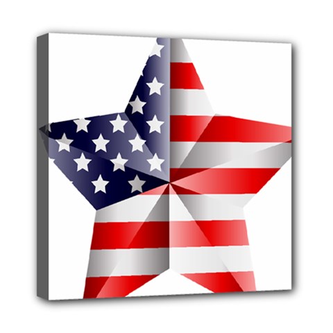 United States Of America Flag Of The United States Independence Day Mini Canvas 8  X 8  (stretched) by danenraven