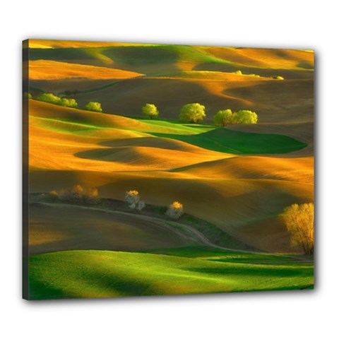 Landscape Usa Nature Washington State Trees Field Palouse Canvas 24  X 20  (stretched) by Bakwanart