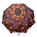 Flowers Blossoms Petals Blooms Folding Umbrellas View1
