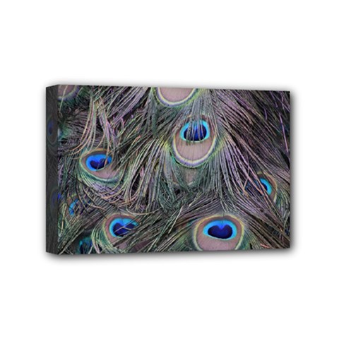 Peacock Feathers Peacock Bird Feathers Mini Canvas 6  X 4  (stretched) by Ndabl3x