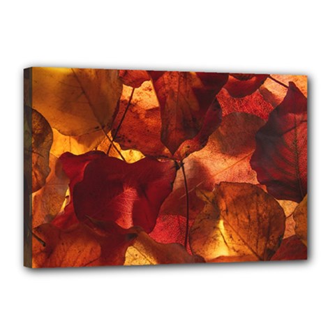 Leaves Fall Autumn Season Orange Canvas 18  X 12  (stretched) by Ndabl3x