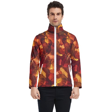 Leaves Fall Autumn Season Orange Men s Bomber Jacket by Ndabl3x
