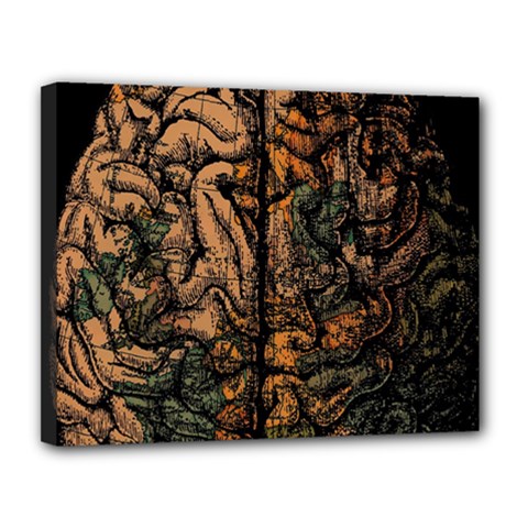Always On My Mind Brain Map Vintage Canvas 14  X 11  (stretched) by uniart180623