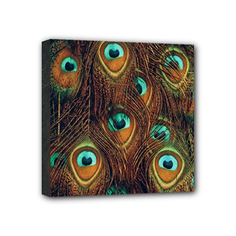 Peacock Feathers Mini Canvas 4  X 4  (stretched) by Ravend