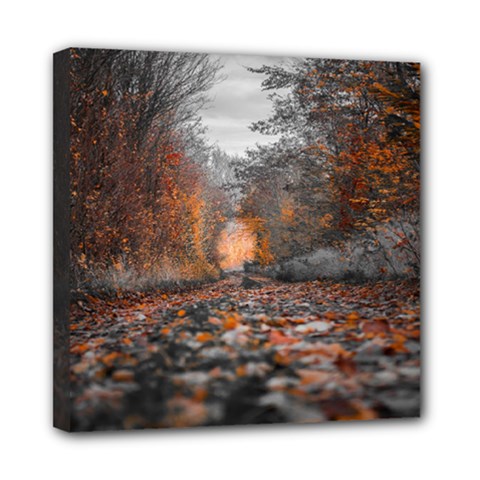 Breathe In Nature Background Mini Canvas 8  X 8  (stretched) by artworkshop