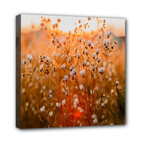 Late Afternoon Mini Canvas 8  X 8  (stretched) by artworkshop