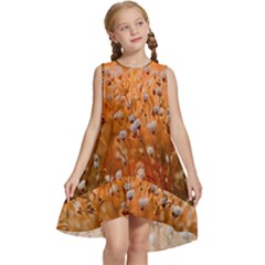 Late Afternoon Kids  Frill Swing Dress by artworkshop
