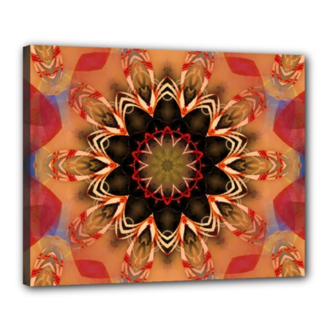 Abstract-kaleidoscope-design Canvas 20  X 16  (stretched) by Bedest