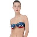 Dog Cartoon Vincent Van Gogh s Starry Night Parody Classic Bandeau Bikini Top  View1