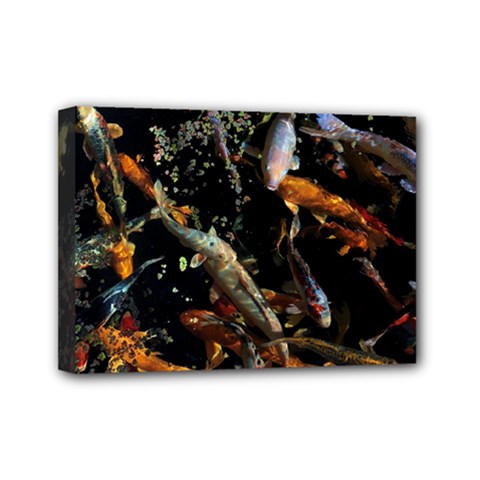 Shoal Of Koi Fish Water Underwater Mini Canvas 7  X 5  (stretched) by Ndabl3x