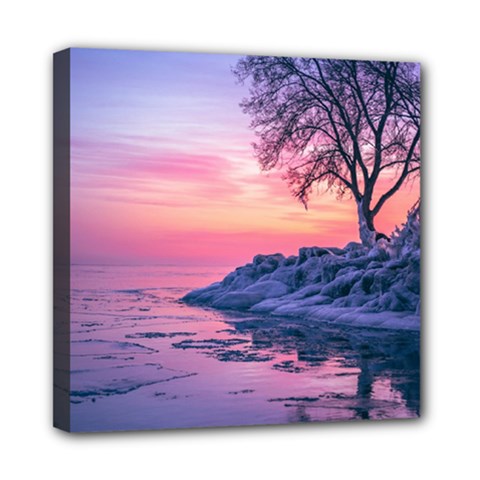 Tree Nature Plant Outdoors Ice Toronto Scenery Snow Mini Canvas 8  X 8  (stretched) by uniart180623