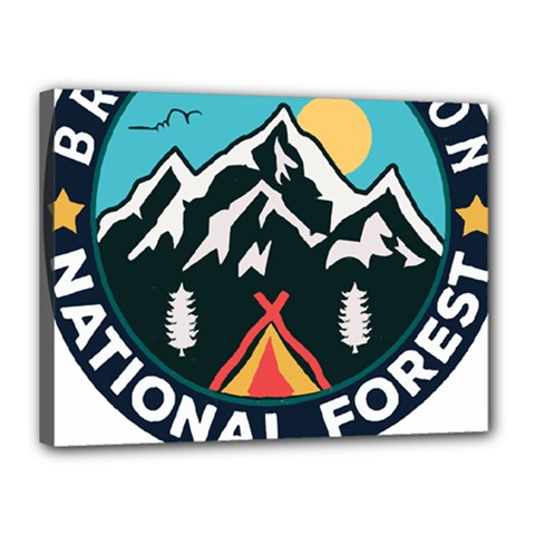 Bridger Teton National Forest T- Shirt Bridger Teton National Forest T- Shirt Canvas 16  X 12  (stretched) by JamesGoode