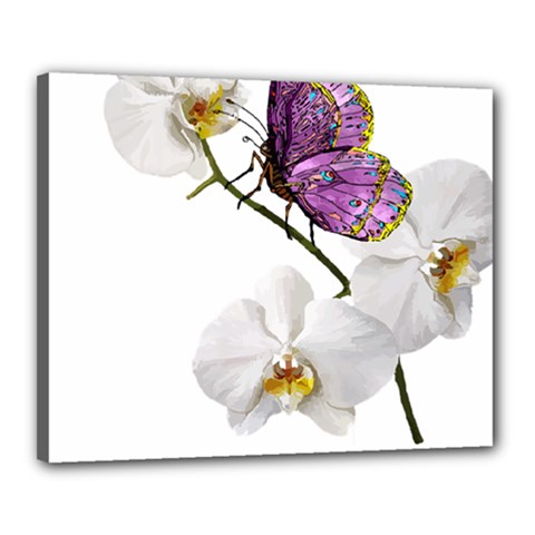 Butterfly Art T- Shirtbutterfly T- Shirt (2) Canvas 20  X 16  (stretched) by JamesGoode