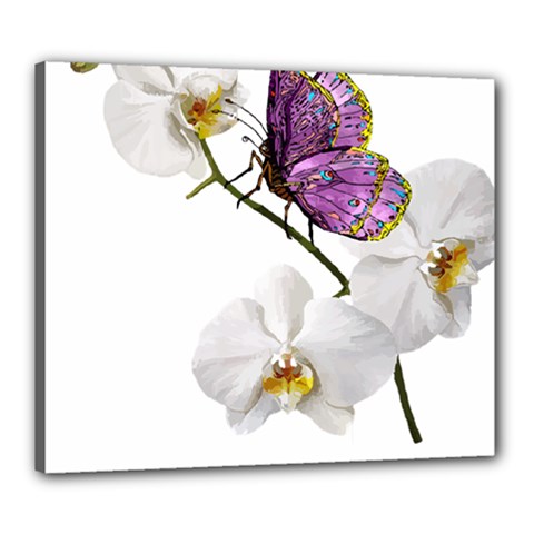 Butterfly Art T- Shirtbutterfly T- Shirt (2) Canvas 24  X 20  (stretched) by JamesGoode