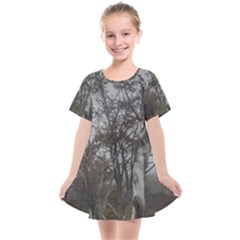 Nature s Resilience: Tierra Del Fuego Forest, Argentina Kids  Smock Dress by dflcprintsclothing