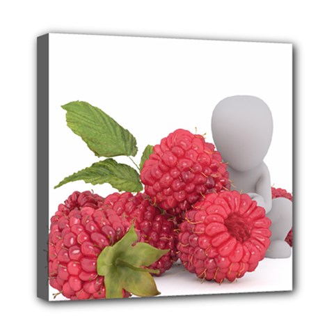Fruit-healthy-vitamin-vegan Mini Canvas 8  X 8  (stretched) by Ket1n9
