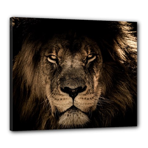 African-lion-mane-close-eyes Canvas 24  X 20  (stretched) by Ket1n9