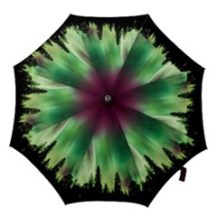 Aurora-borealis-northern-lights Hook Handle Umbrellas (medium) by Ket1n9