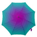Background-pink-blue-gradient Hook Handle Umbrellas (Large) View1
