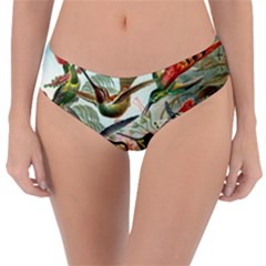 Humming Birds Trochilidae Reversible Classic Bikini Bottoms by Pakjumat