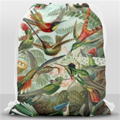 Humming Birds Trochilidae Drawstring Bag (large) by Pakjumat