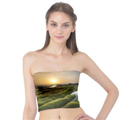 Coast Algae Sea Beach Shore Tube Top by Sarkoni