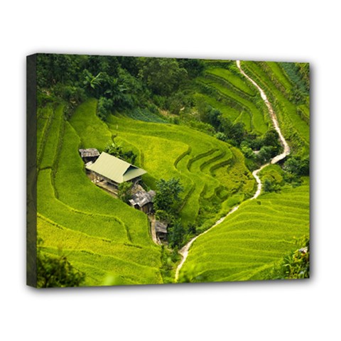 Apartment Curve Path Step Canvas 14  X 11  (stretched) by Sarkoni