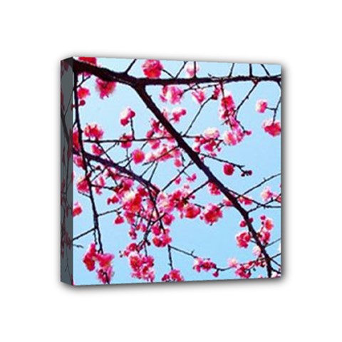 Beautiful Tree Flowers Mini Canvas 4  X 4  (stretched) by 1212