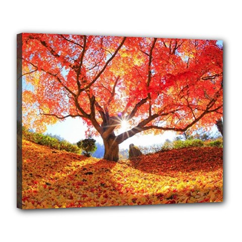 Beautiful Tree Flowers Canvas 20  X 16  (stretched) by 1212