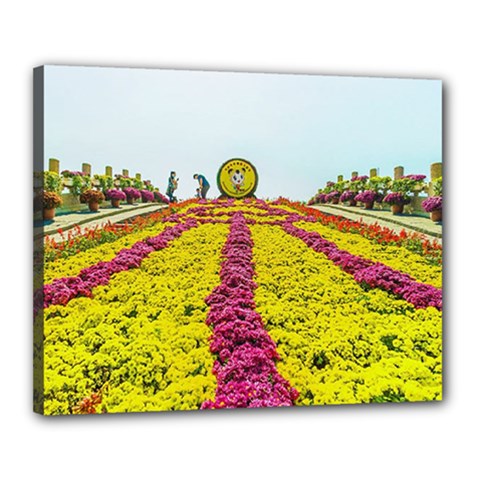 Beautiful Garden Canvas 20  X 16  (stretched) by 1212