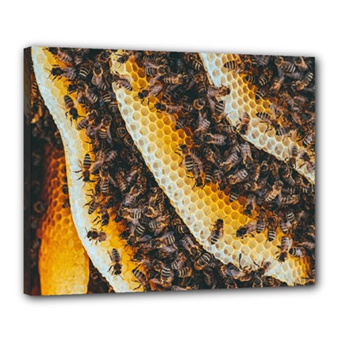 Yellow And Black Bees On Brown And Black Canvas 20  X 16  (stretched) by Ndabl3x