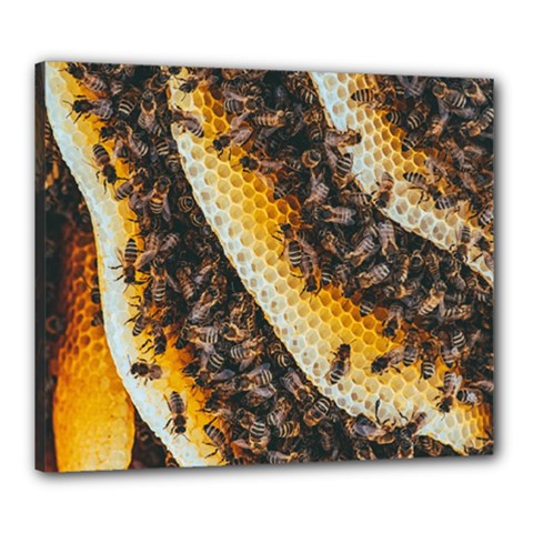 Yellow And Black Bees On Brown And Black Canvas 24  X 20  (stretched) by Ndabl3x