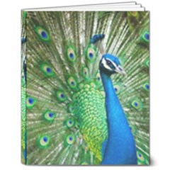 Peafowl Peacock 8  X 10  Hardcover Notebook by Sarkoni