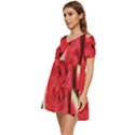 Watermelon Fruit Green Red Tiered Short Sleeve Babydoll Dress View3