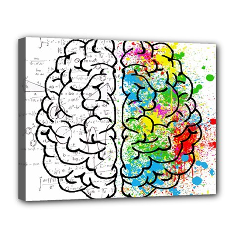 Brain Mind Psychology Idea Drawing Canvas 14  X 11  (stretched) by Grandong