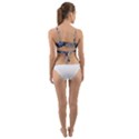 Illustration Anime Cartoon My Neighbor Totoro Wrap Around Bikini Top View2